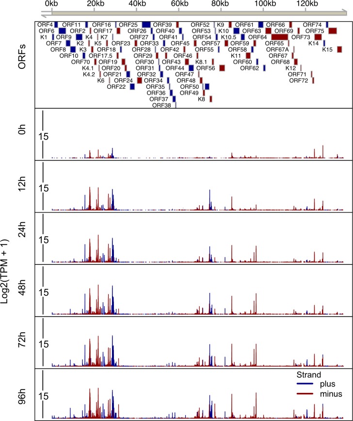 Fig 3