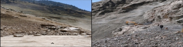 Fig. 8