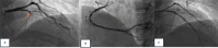 Fig. 6