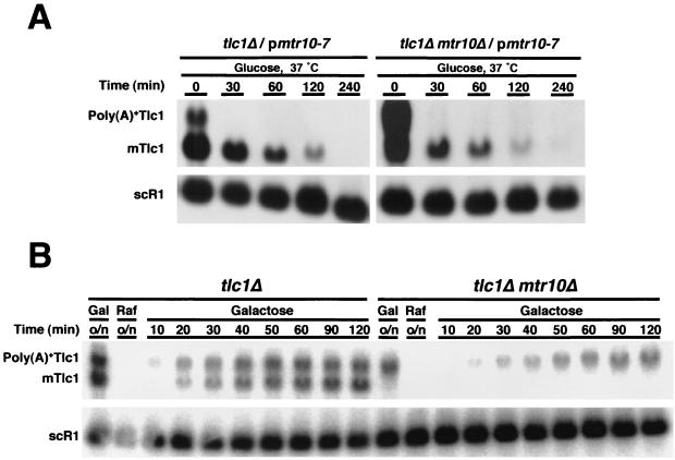 FIG. 5.