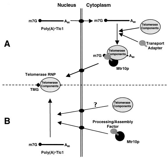 FIG. 7.