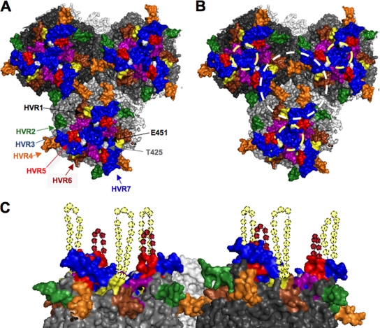 Fig 7