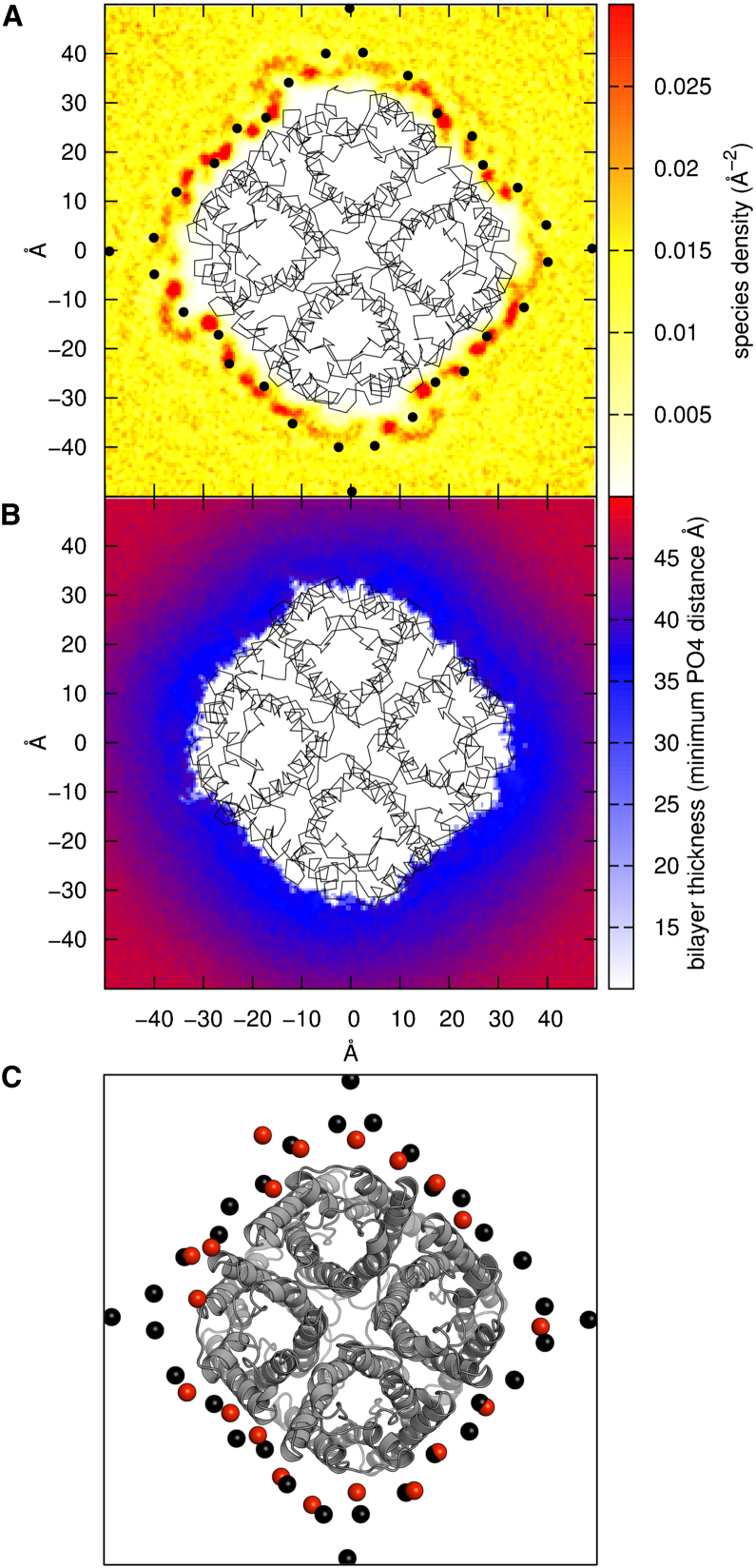 Figure 3