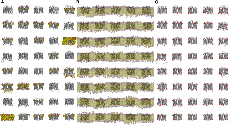 Figure 5