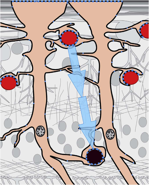 Fig. 50.