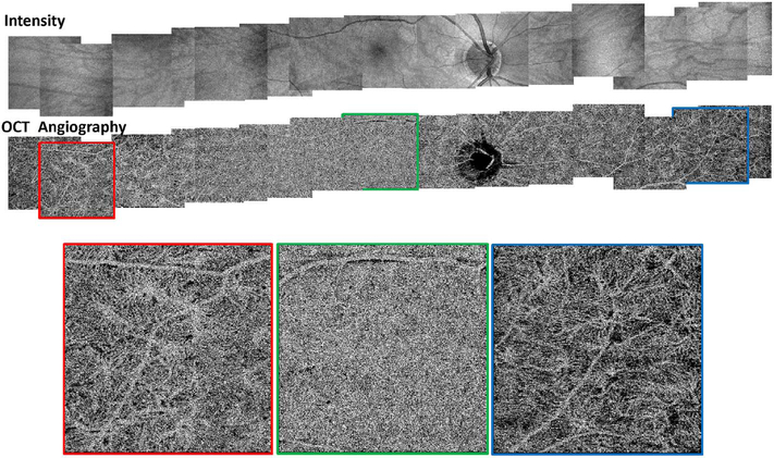 Fig. 8.