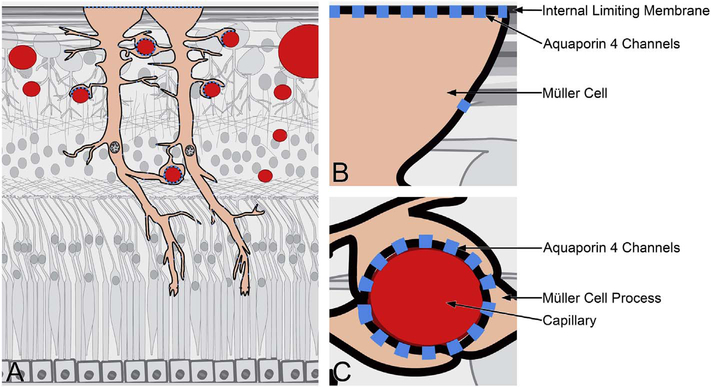 Fig. 43.