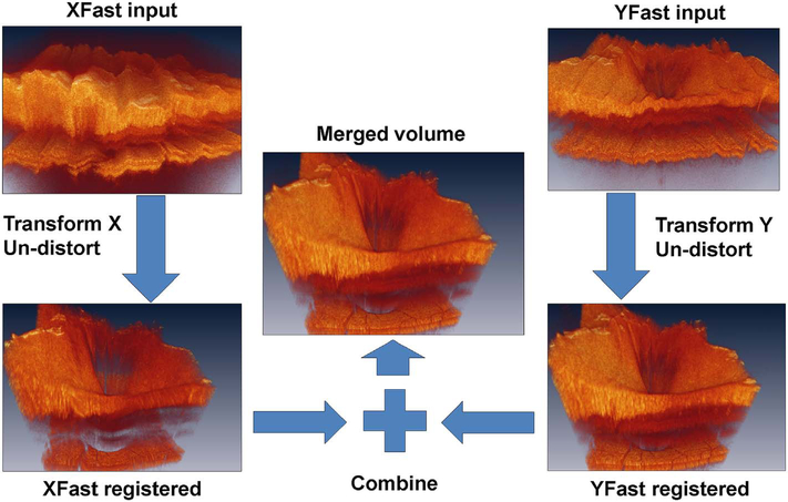 Fig. 14.