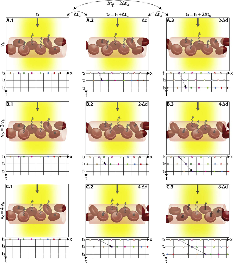 Fig. 3.