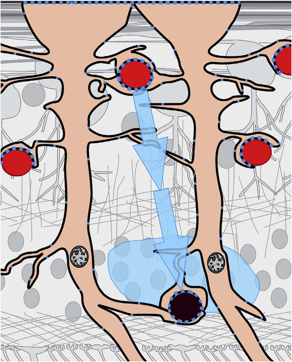 Fig. 51.