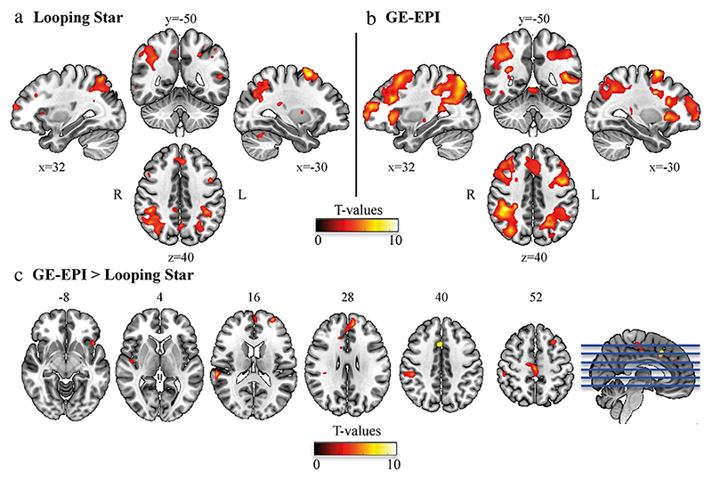 Fig. 17