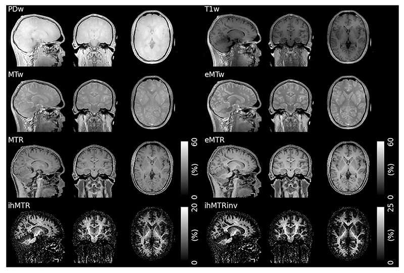 Fig. 12