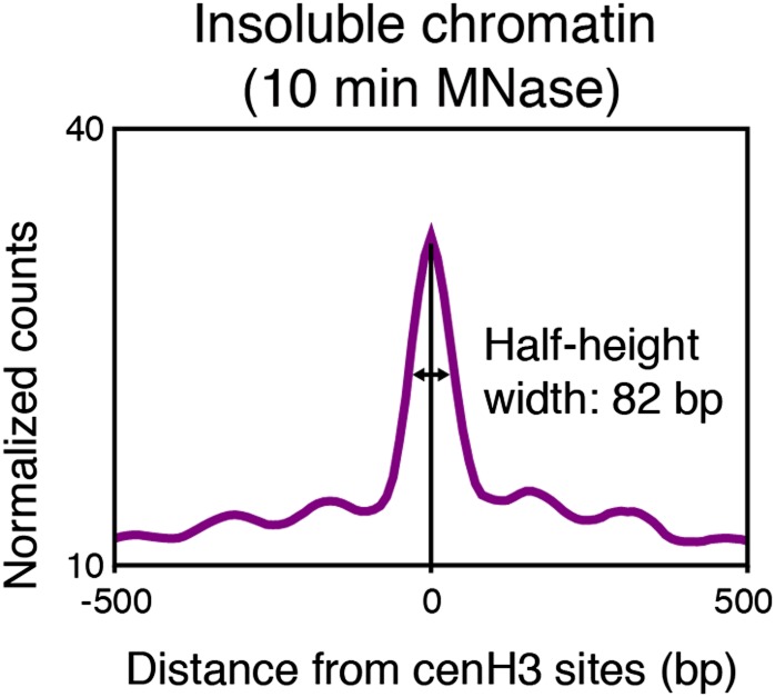 Figure 5—figure supplement 3.