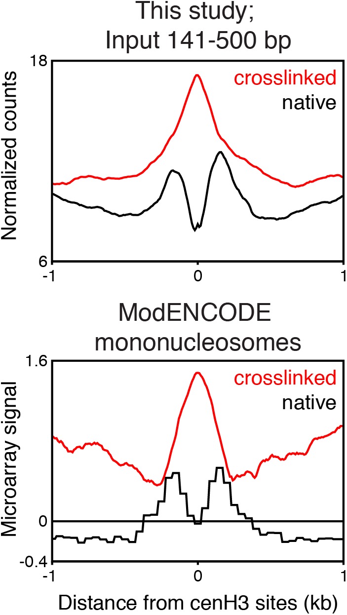 Figure 5—figure supplement 1.