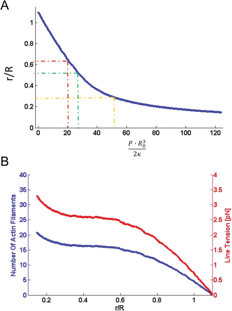 Figure 8—figure supplement 1.