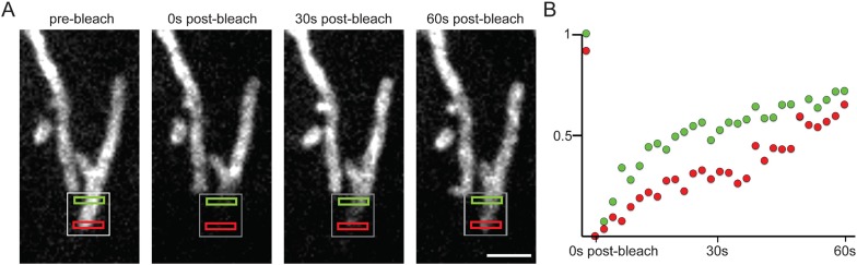 Figure 2—figure supplement 1.