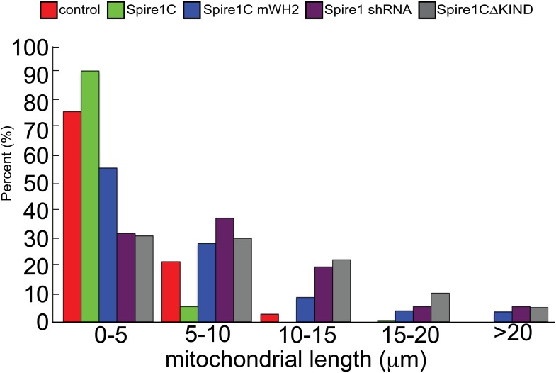 Figure 4—figure supplement 1.