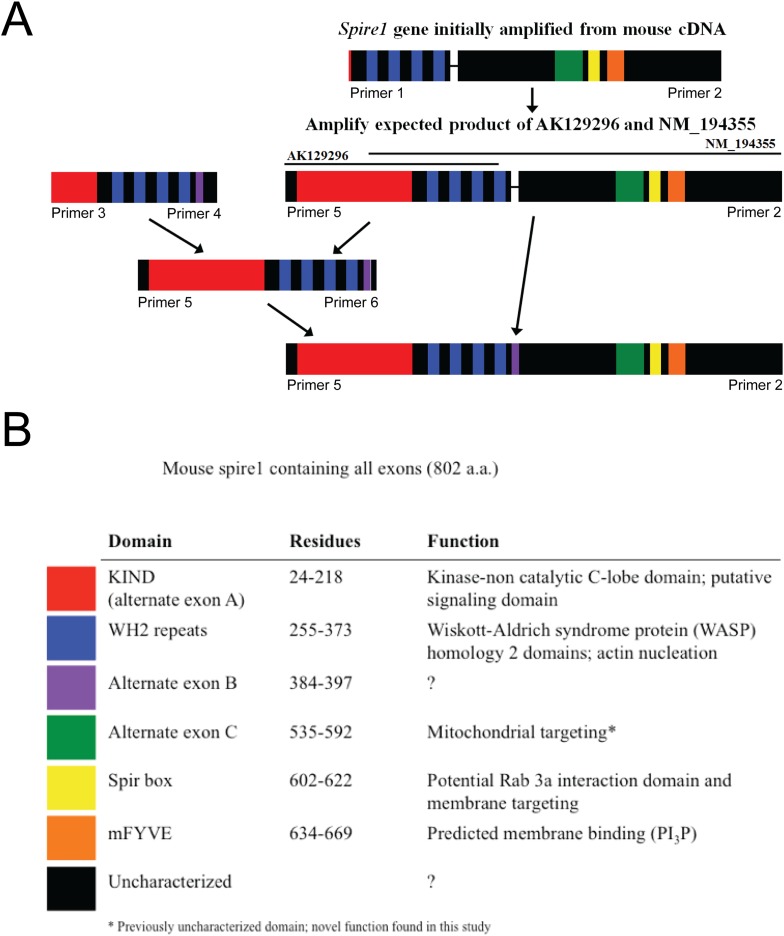 Figure 1—figure supplement 1.