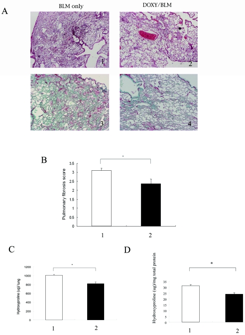 FIG.1.