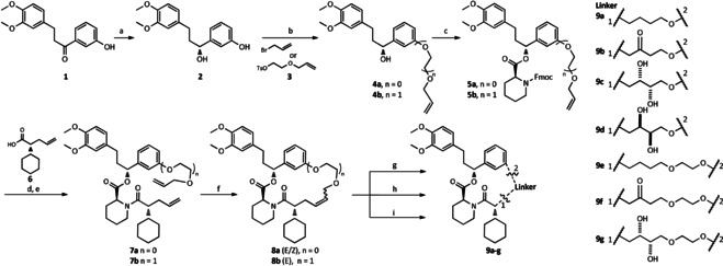 Scheme 1