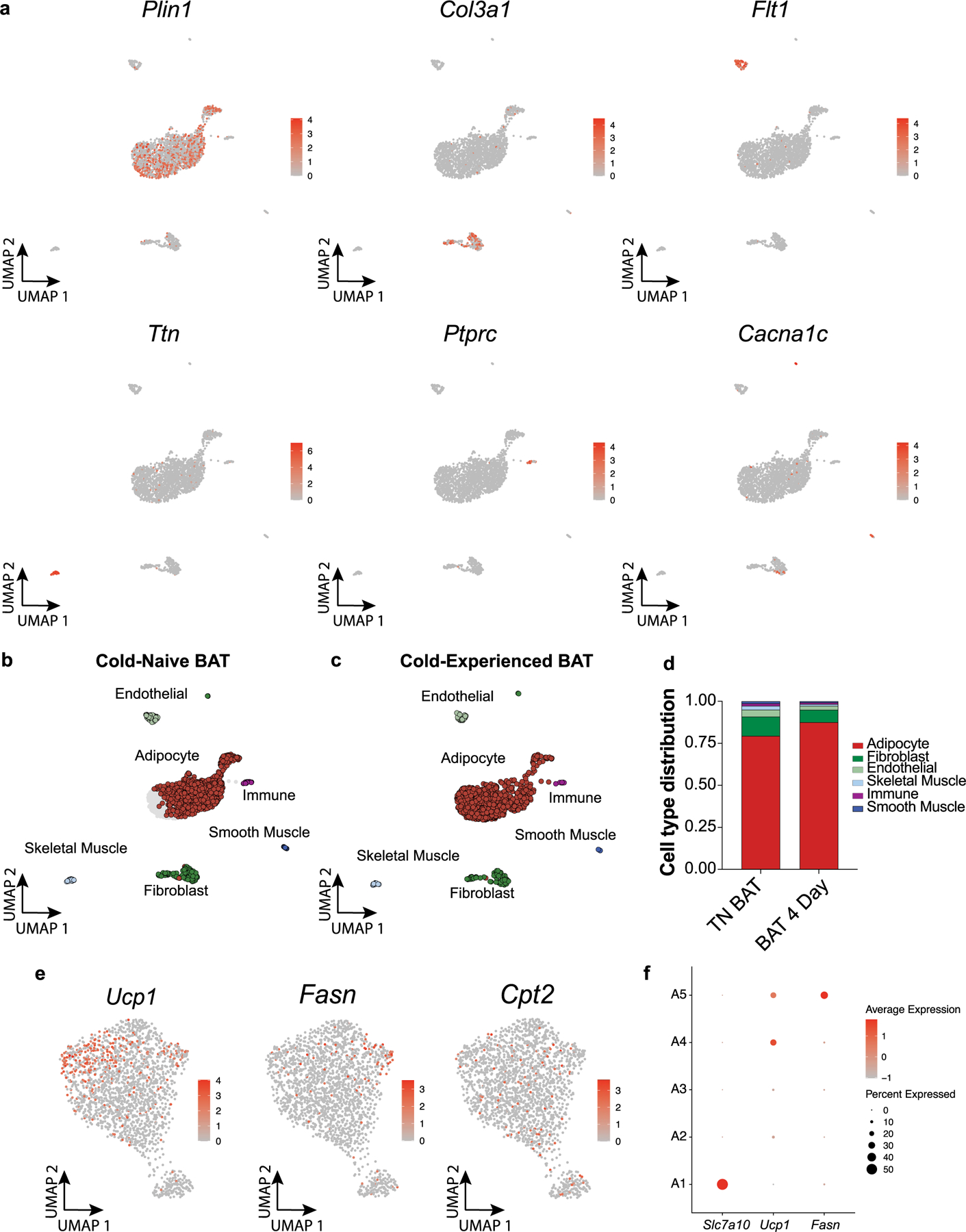 Extended Data Fig. 4 |