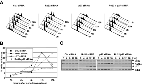 FIG. 7.