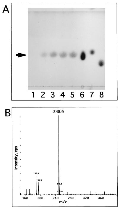 FIG. 5
