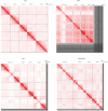 Figure 2—figure supplement 3.