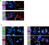 Figure 4—figure supplement 4.