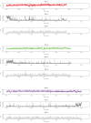 Figure 5—figure supplement 2.