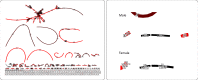Appendix 1—figure 1.