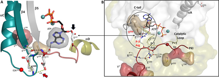 Figure 12.