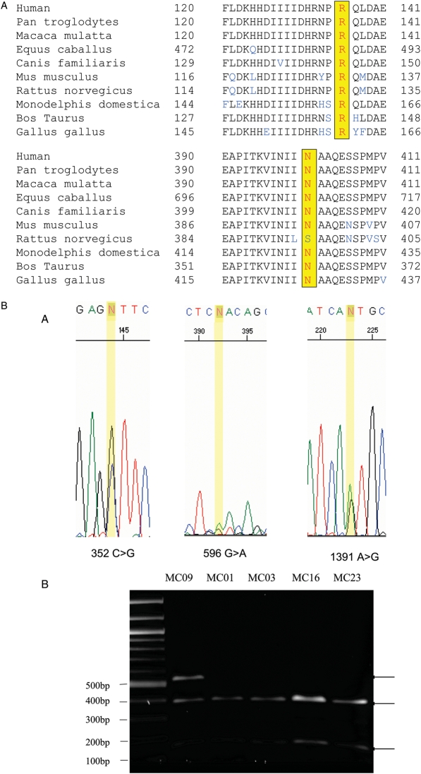 Figure 1