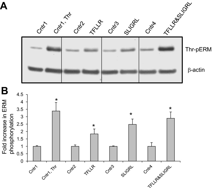 Fig. 10.