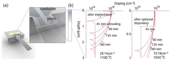 Fig. 10