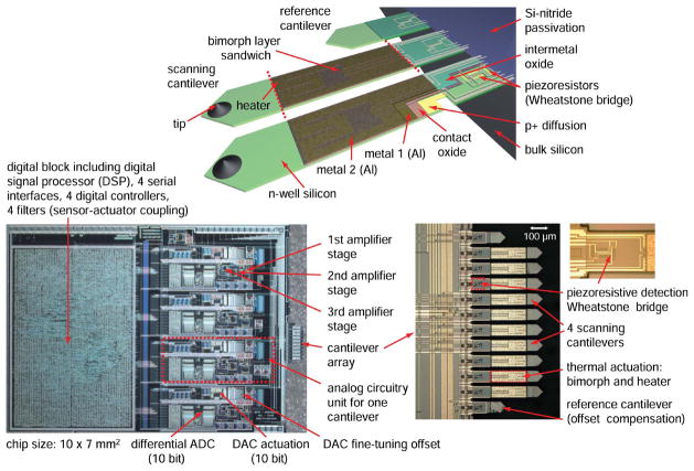 Fig. 30
