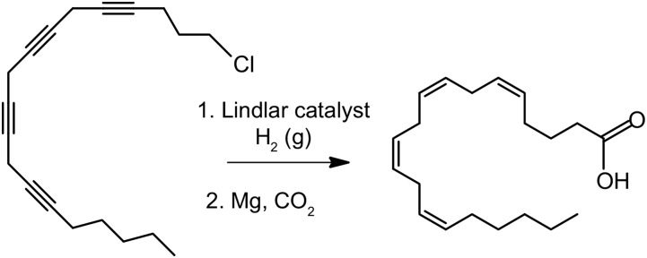 Fig. 8.