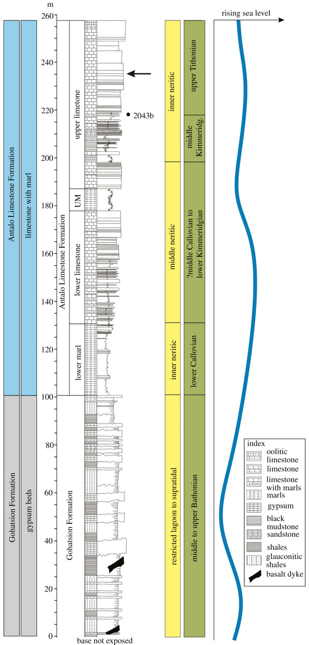 Figure 2. 