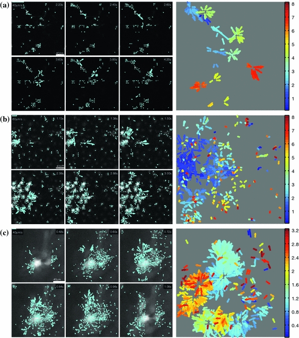 FIGURE 4