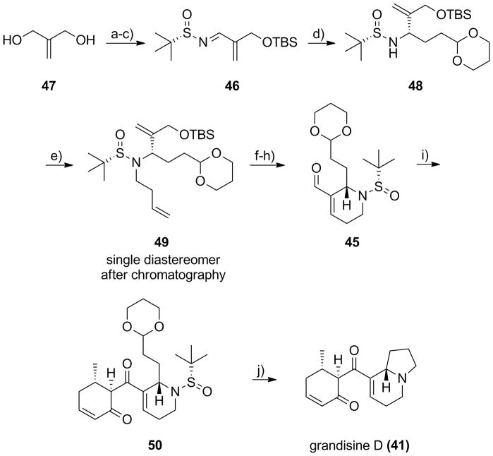 Scheme 8