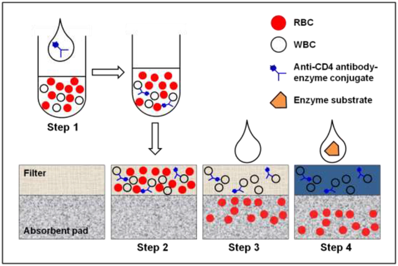 Figure 1: