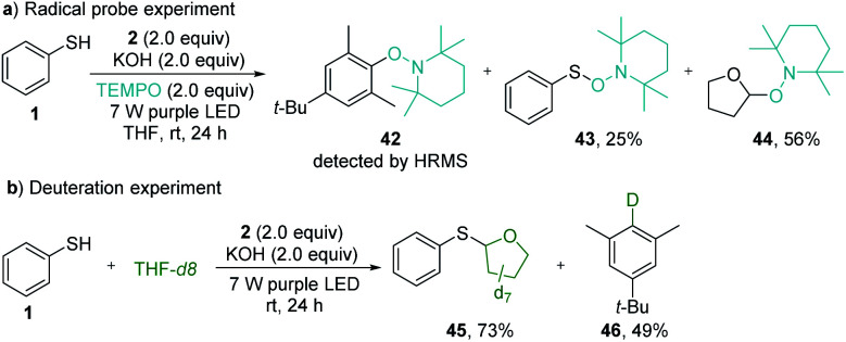 Scheme 5