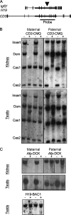 FIG. 2.