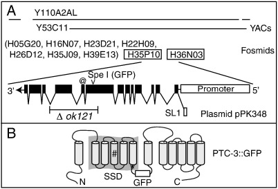 Fig. 1