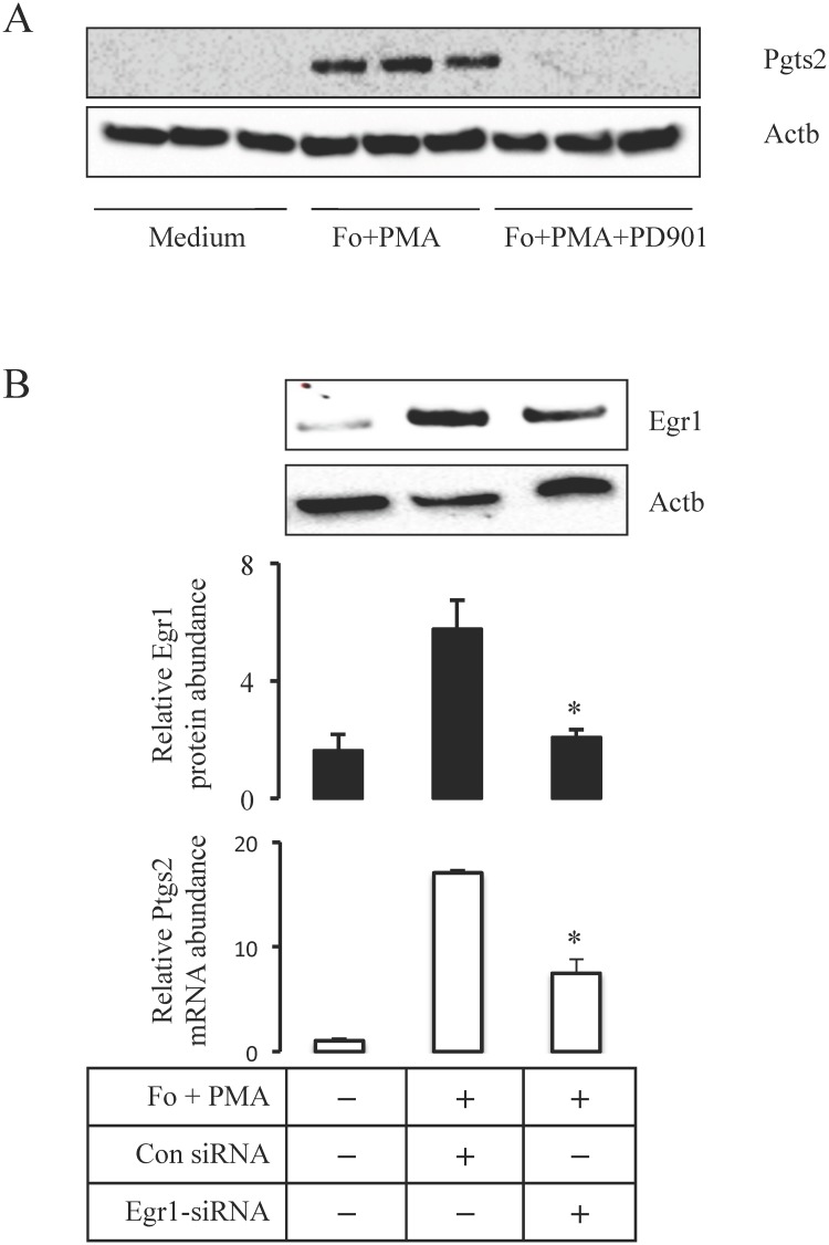 Fig 7