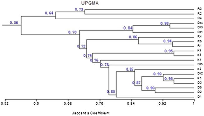 Figure 5