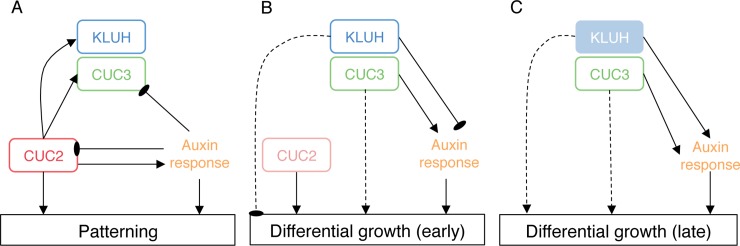 Fig 10