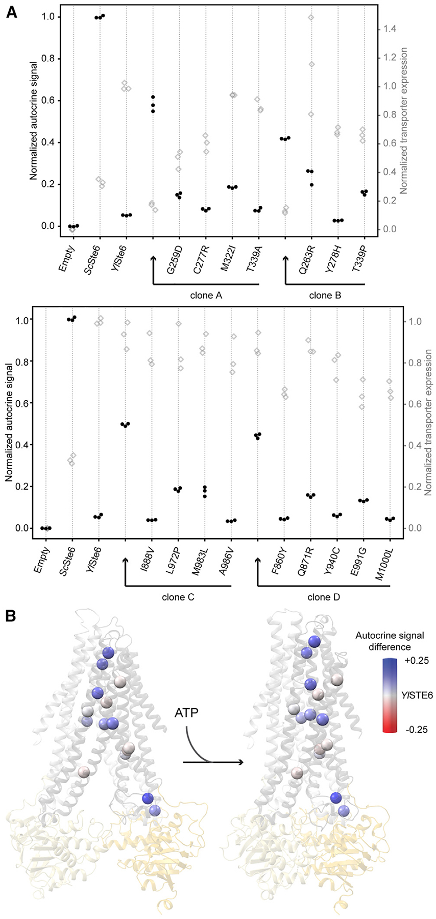 Figure 5.