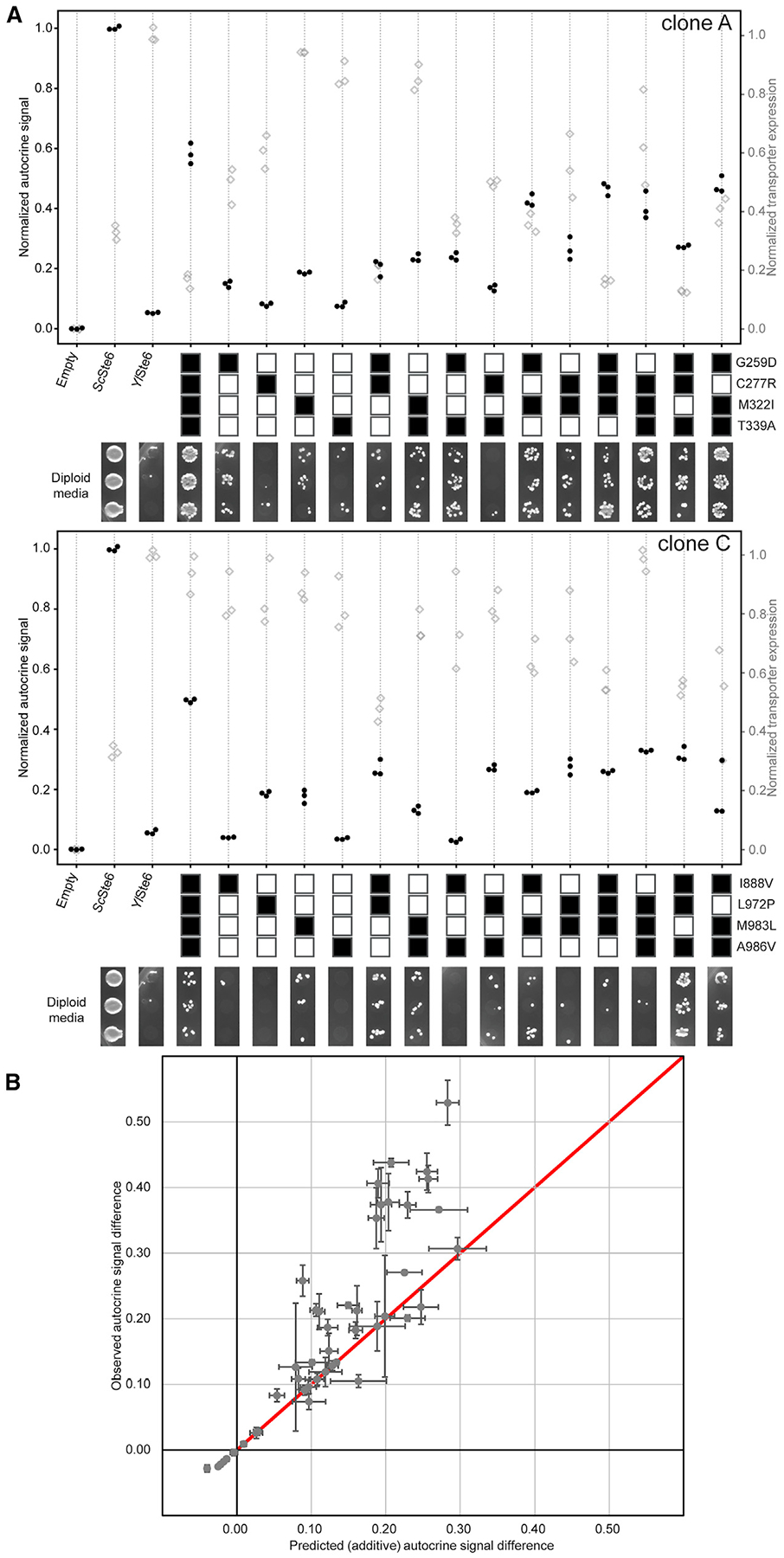 Figure 6.