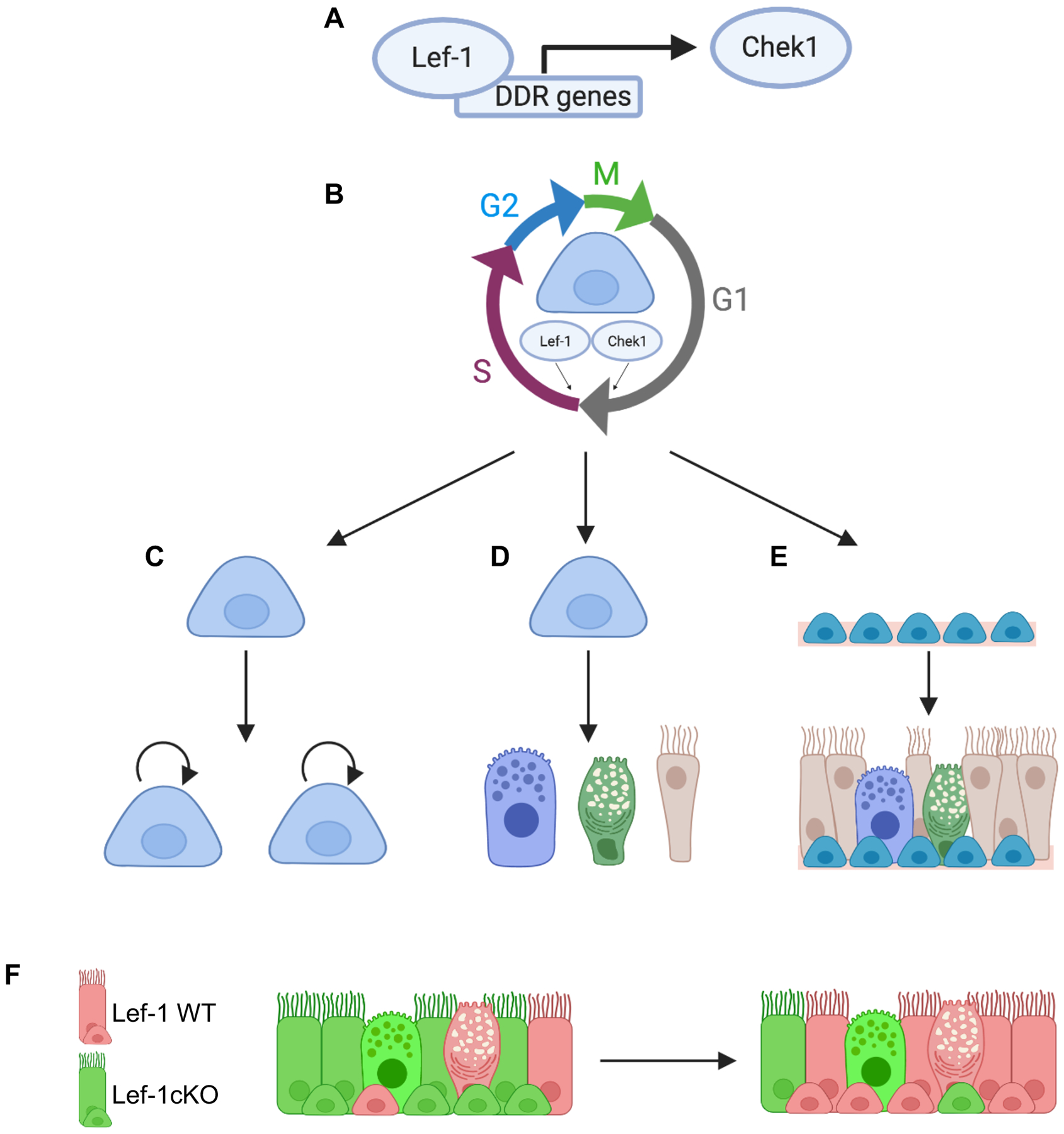 Figure 7.